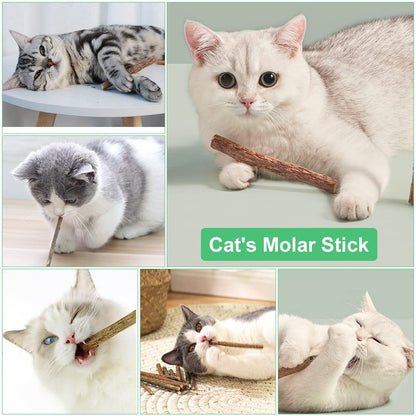 OSDUE 32 Stück Katzenminze Sticks, Matatabi-Kausticks, Katzenminze Spielzeug Katzen Kauhölzer Sticks für Katzen Zahnpflege & Gegen Mundgeruch Natürlich Sicher Katzensticks Kausticks Set