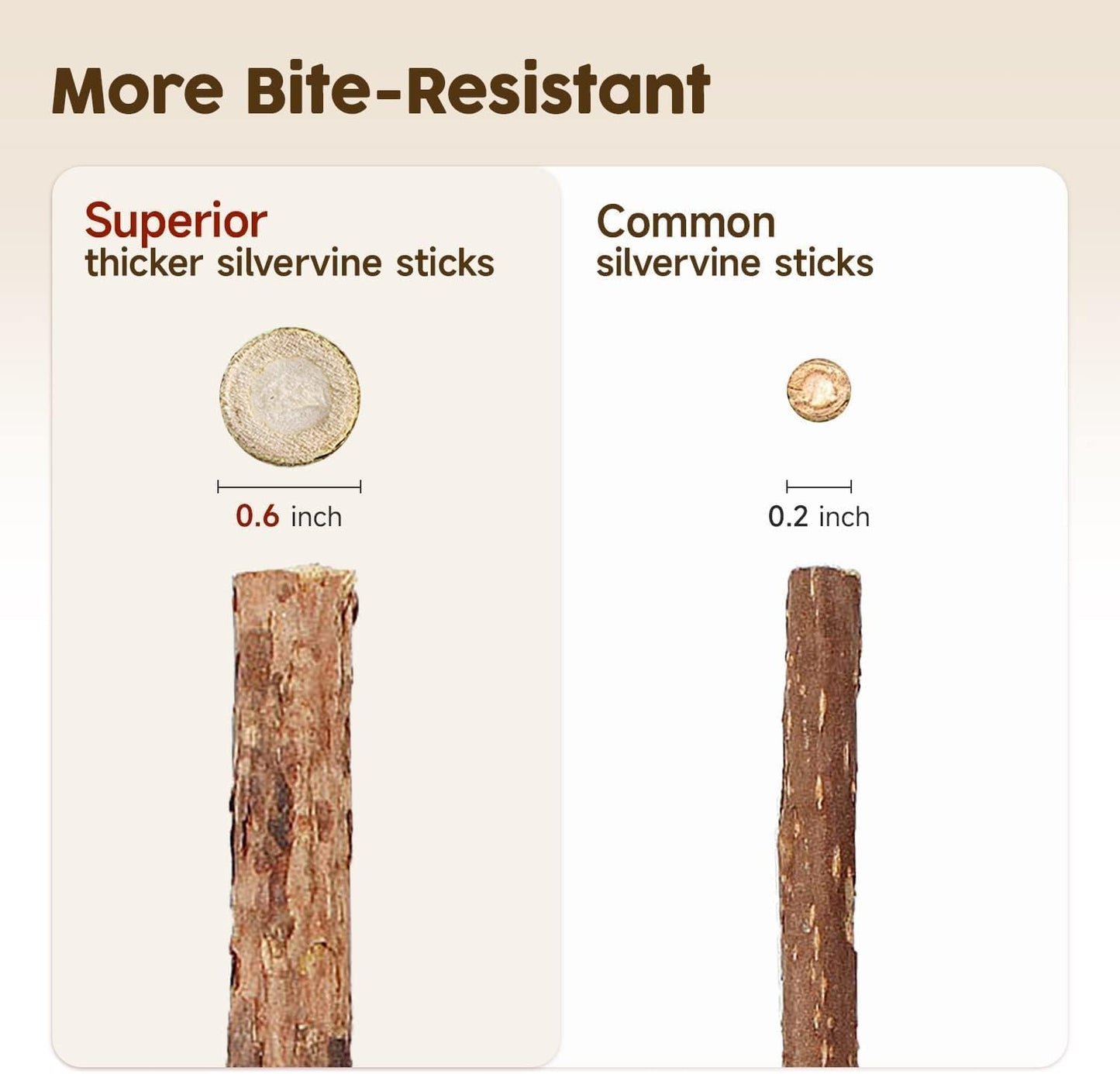 Redreo Katzenminze Sticks, 3 Stück Katzen Kauhölzer Sticks für Katzen Zahnpflege & Gegen Mundgeruch Natürlich Sicher Katzensticks Kausticks