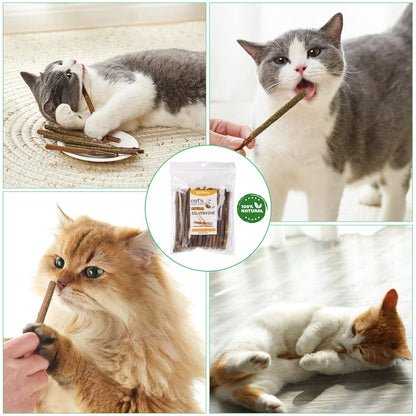 OSDUE 32 Stück Katzenminze Sticks, Matatabi-Kausticks, Katzenminze Spielzeug Katzen Kauhölzer Sticks für Katzen Zahnpflege & Gegen Mundgeruch Natürlich Sicher Katzensticks Kausticks Set