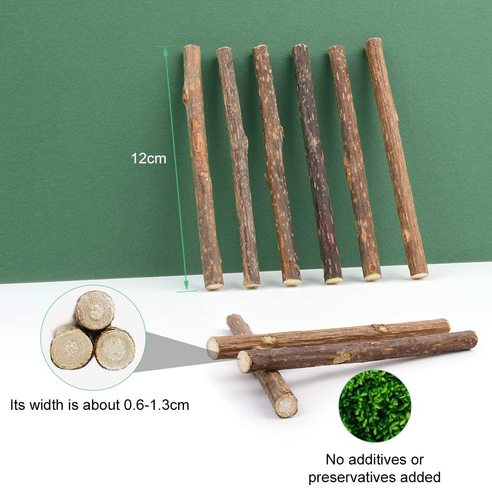 OSDUE 32 Stück Katzenminze Sticks, Matatabi-Kausticks, Katzenminze Spielzeug Katzen Kauhölzer Sticks für Katzen Zahnpflege & Gegen Mundgeruch Natürlich Sicher Katzensticks Kausticks Set
