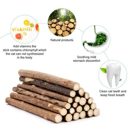 OSDUE 32 Stück Katzenminze Sticks, Matatabi-Kausticks, Katzenminze Spielzeug Katzen Kauhölzer Sticks für Katzen Zahnpflege & Gegen Mundgeruch Natürlich Sicher Katzensticks Kausticks Set