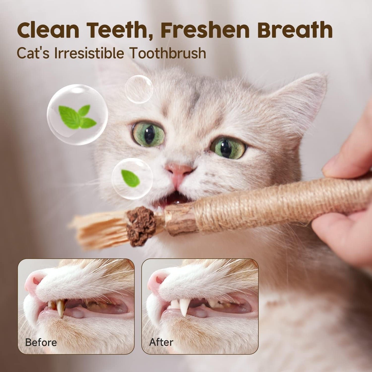 Redreo Katzenminze Sticks, 3 Stück Katzen Kauhölzer Sticks für Katzen Zahnpflege & Gegen Mundgeruch Natürlich Sicher Katzensticks Kausticks