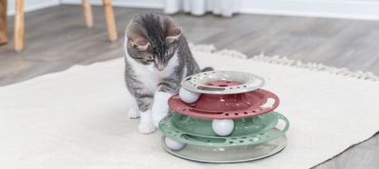 TRIXIE Catch the Balls Katzenspielzeug - drei Ebenen mit je einem Ball - regt zum Spielen an - grau/grün/rot - ø 25 × 13 cm - 41345