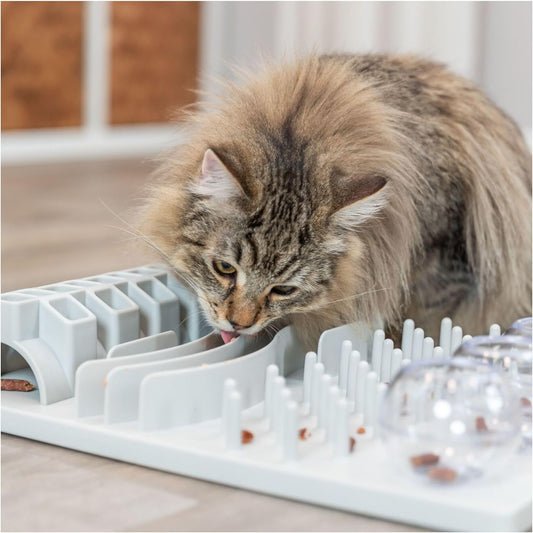 TRIXIE Katzenspielzeug Cat Activity Fun Board, Intelligenzspielzeug für Katzen
