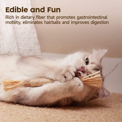 Redreo Katzenminze Sticks, 3 Stück Katzen Kauhölzer Sticks für Katzen Zahnpflege & Gegen Mundgeruch Natürlich Sicher Katzensticks Kausticks